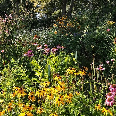 Gartenhaus Frieda Galmsbull Exteriér fotografie