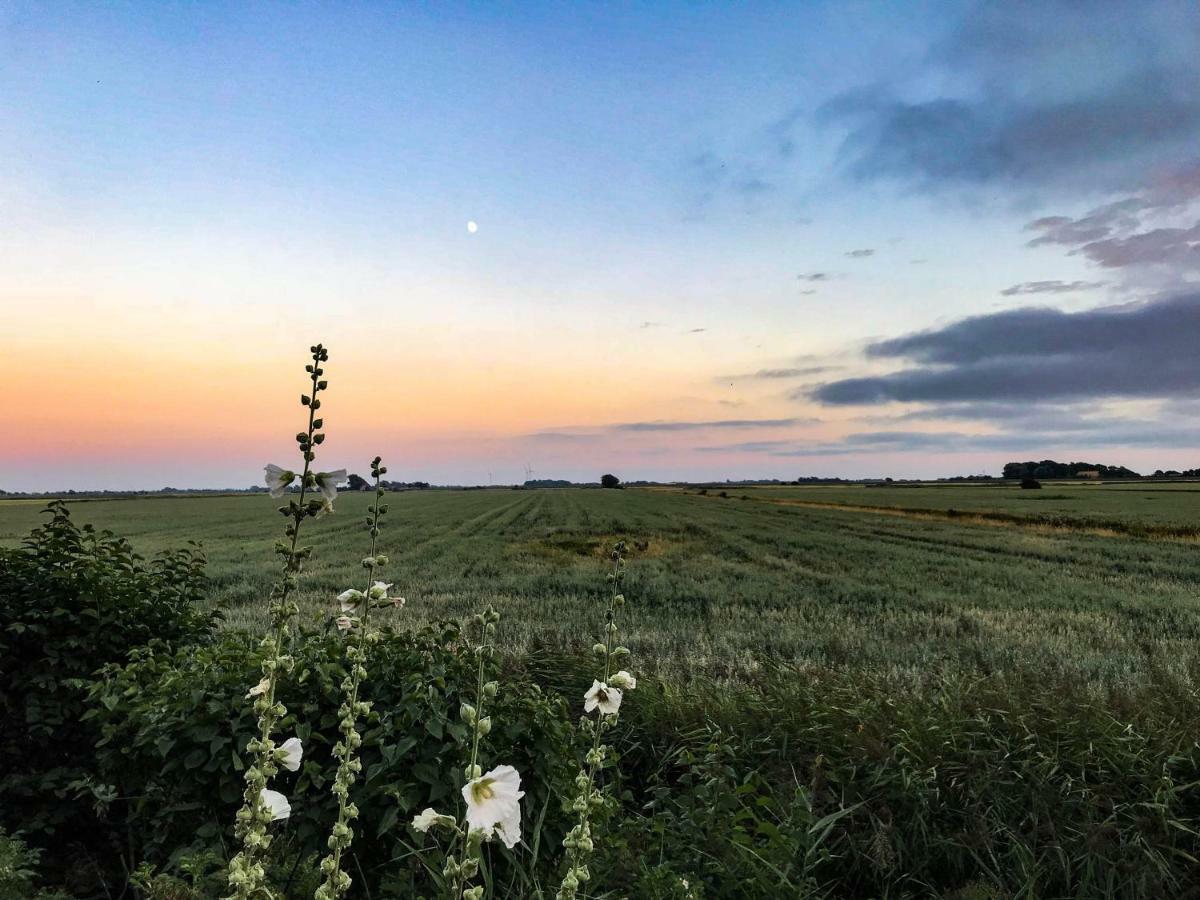 Gartenhaus Frieda Galmsbull Exteriér fotografie