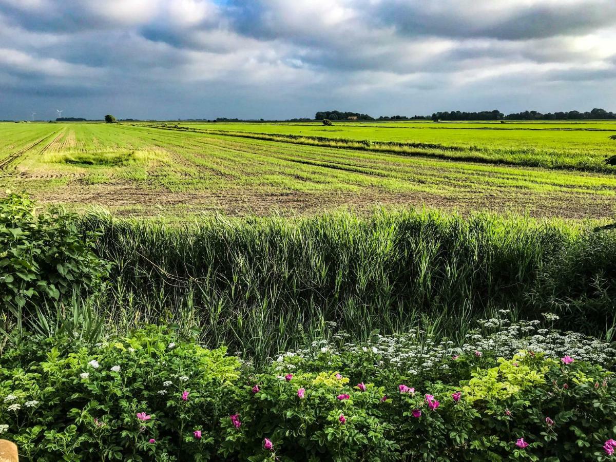 Gartenhaus Frieda Galmsbull Exteriér fotografie