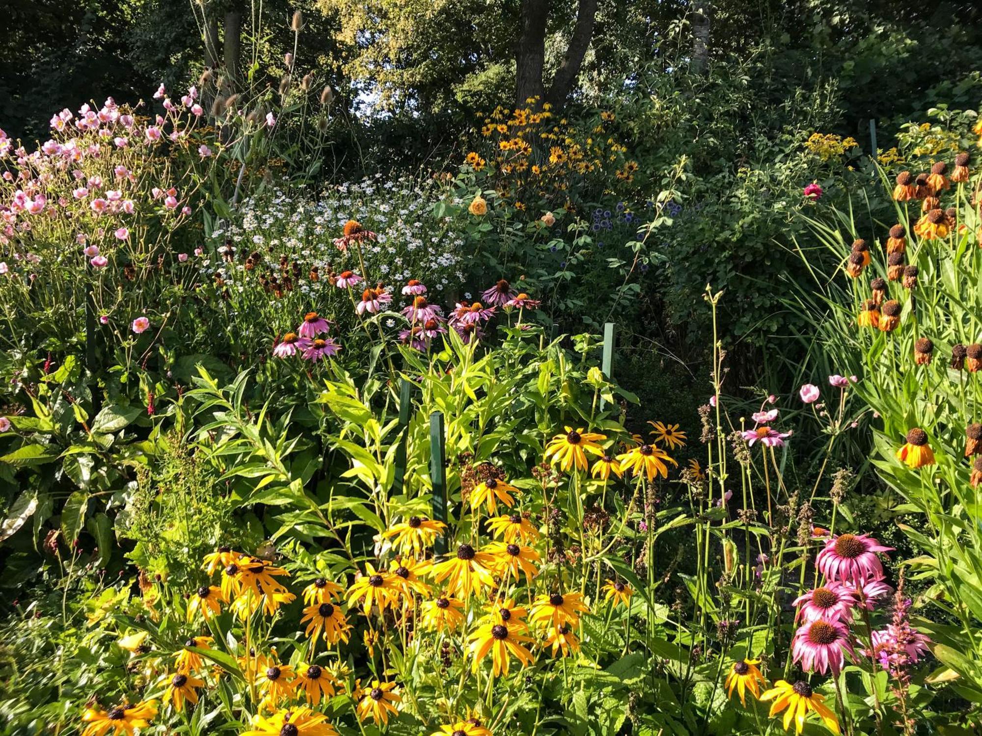 Gartenhaus Frieda Galmsbull Exteriér fotografie