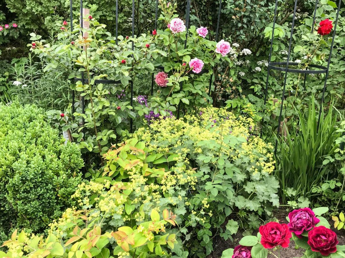 Gartenhaus Frieda Galmsbull Exteriér fotografie